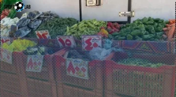 تحديث أسعار الخضراوات في أسواق الأقصر الإثنين 17 نوفمبر 2025